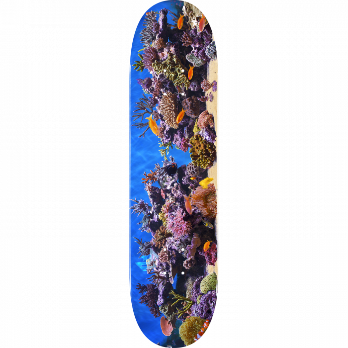 ML DECK 255/K-20 -7.5 FISH TANK