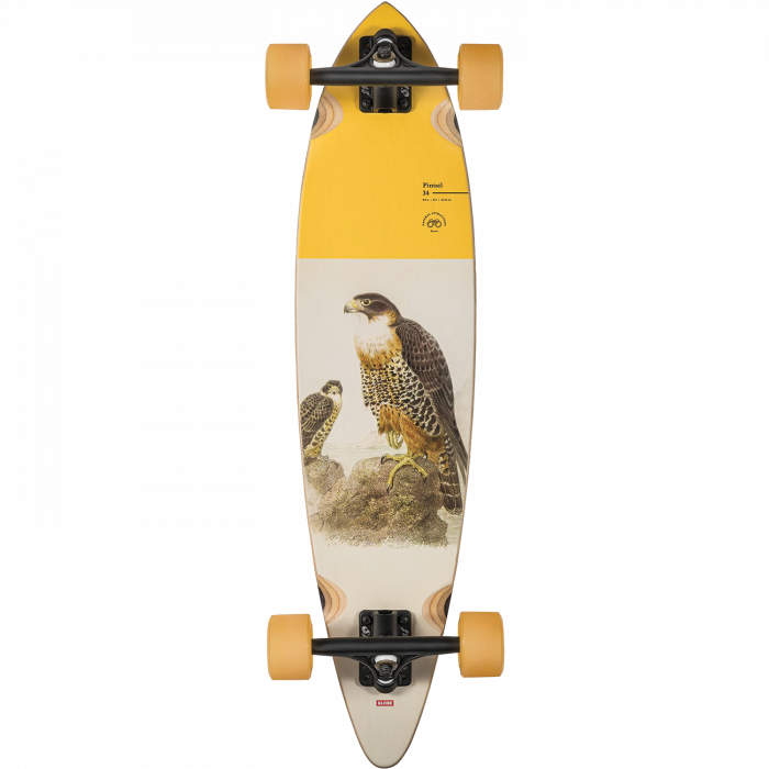GLB PINTAIL 34 COMPLETE-8.75X30.5 FALCON