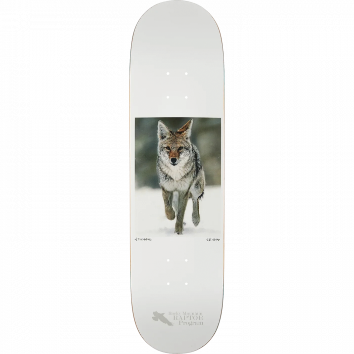 ZERO THOMAS HESS NATURE COYOTE DECK-8.5 WHITE