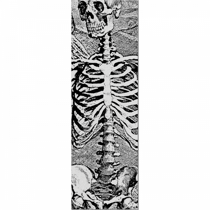 PWL/P GRIP SHEET 10.5x33 SAS SKELETON CLEAR