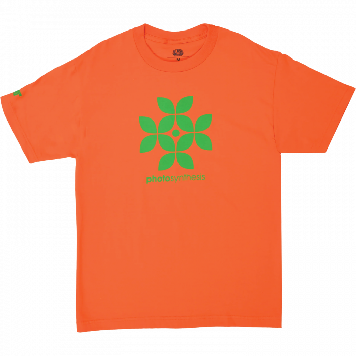 Aw Photosynthesis Ss S-Orange