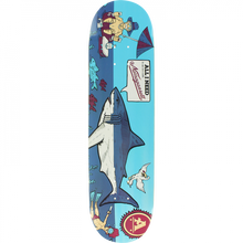 AIN X NARRAGANSETT BEER SHARK DECK-8.3