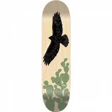 MEOW TORRES NOPALES DECK-8.0