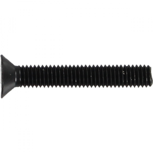 STANDARD PHILLIPS BOLT 1-1/4" BLACK