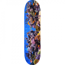 ML DECK 291/K-20 -7.75 FISH TANK