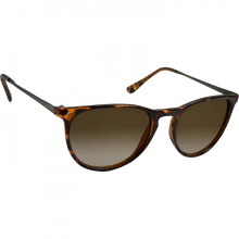 Nectar Sunglasses Shockoe Brn Tort/Gradient Amber