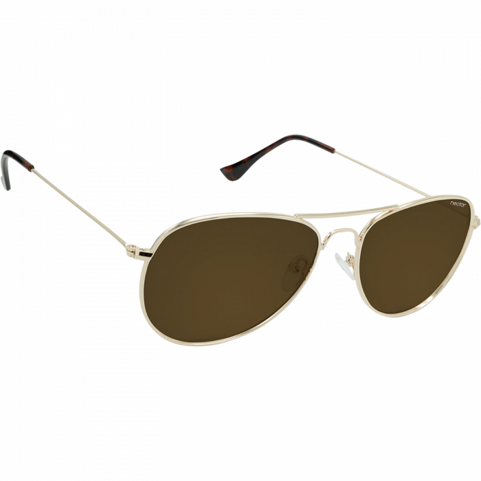 Nectar Sunglasses Kitty Hawk Gold Metal/Amber