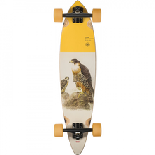 GLB PINTAIL 34 COMPLETE-8.75X30.5 FALCON