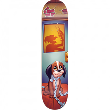 BLIND GAVIN DOG POUND DECK-8.37 MULTI ht