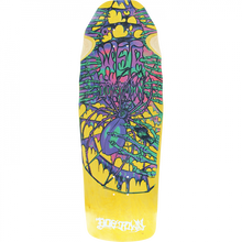 DT WEB DECK-10.25x30.82 ASST.