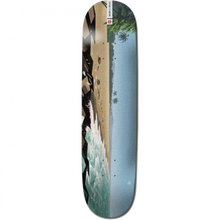 EL LANDSCAPE SOUTH AMERICA DECK-8.0