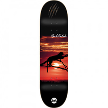 JART FROLICH TIGER SUNSET DECK-8.0