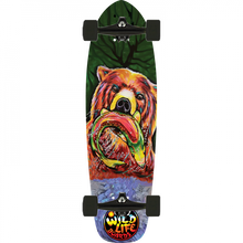 OMEN FISHER KING MINI CRUISER COMPLETE-8.5X29