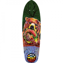 OMEN FISHER KING MINI CRUISER DECK-8.5X29