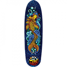 OMEN JINLI KOI MINI CRUISER DECK-8.9X33