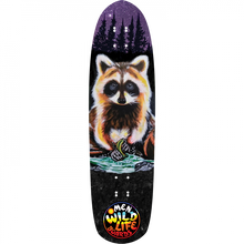 OMEN TICO RACOON MINI CRUISER DECK-8.9X33