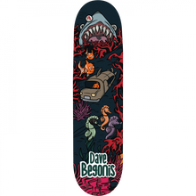 AIN BEGONIS SEA CORAL SHARK DECK-8.25