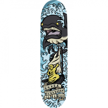 AIN FUKUHARA WHALE DECK-8.5