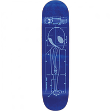 AW BLUEPRINT DECK-8.75