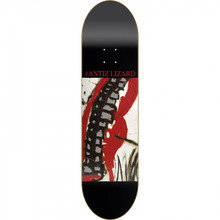 ANTIZ MUSIC JESUS LIZARD DECK-8.12
