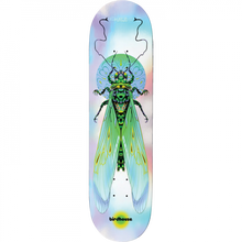 BH HALE ILHAM INSECTS DECK-8.75