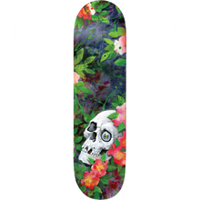 DW WILLIAMS WE FELL INTO IT DECK-8.5