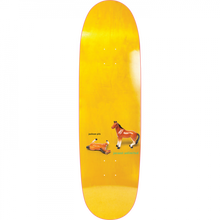 JACUZZI PILZ HORSE PLAY DECK-9.12X32.3