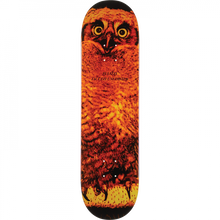 JACUZZI PULIZZI HOO DECK-7.75 ORANGE EX7