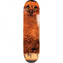 JACUZZI PULIZZI HOO DECK-8.375 ORANGE EX7