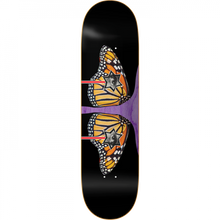 LOVESICK EYE OF THE MONARCH DECK-8.25 ASSORTED