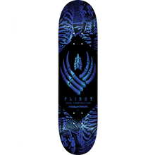 PWL/P SKELETON DECK-8.75 BLUE FOIL flight