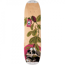 WALTZ LIFE DK-7.6X28.7 NAT W/SKID PLATES