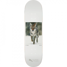 ZERO THOMAS HESS NATURE COYOTE DECK-8.5 WHITE