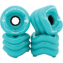 SHARK DNA 72mm 78a SOLID TURQUOISE/BLK
