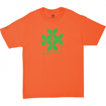 Aw Photosynthesis Ss Xl-Orange