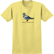 Ah Big Pigeon Ss S -Cornsilk