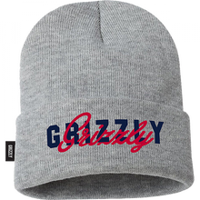 Grizzly No Substitute Beanie Grey