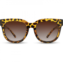 Nectar Chatham Brown Tortoise/Gradient Amber